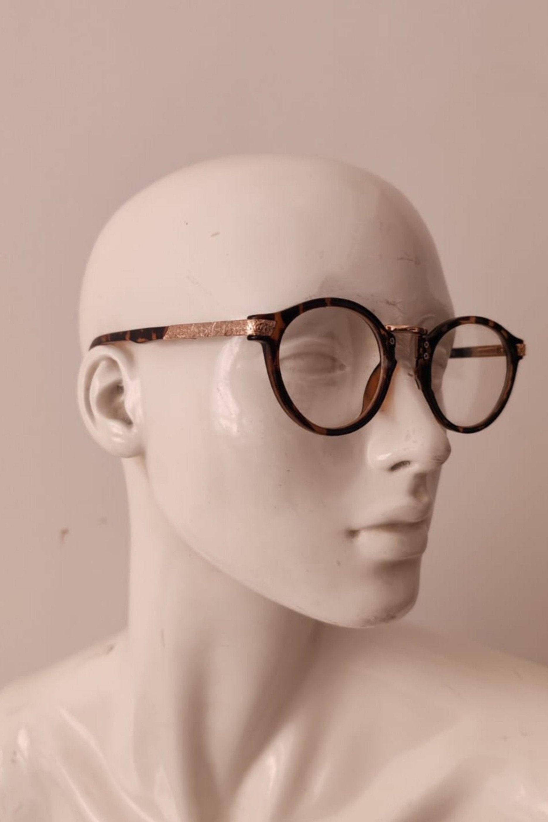 Round Tortoise Shell with Clear Lens Sunglasses