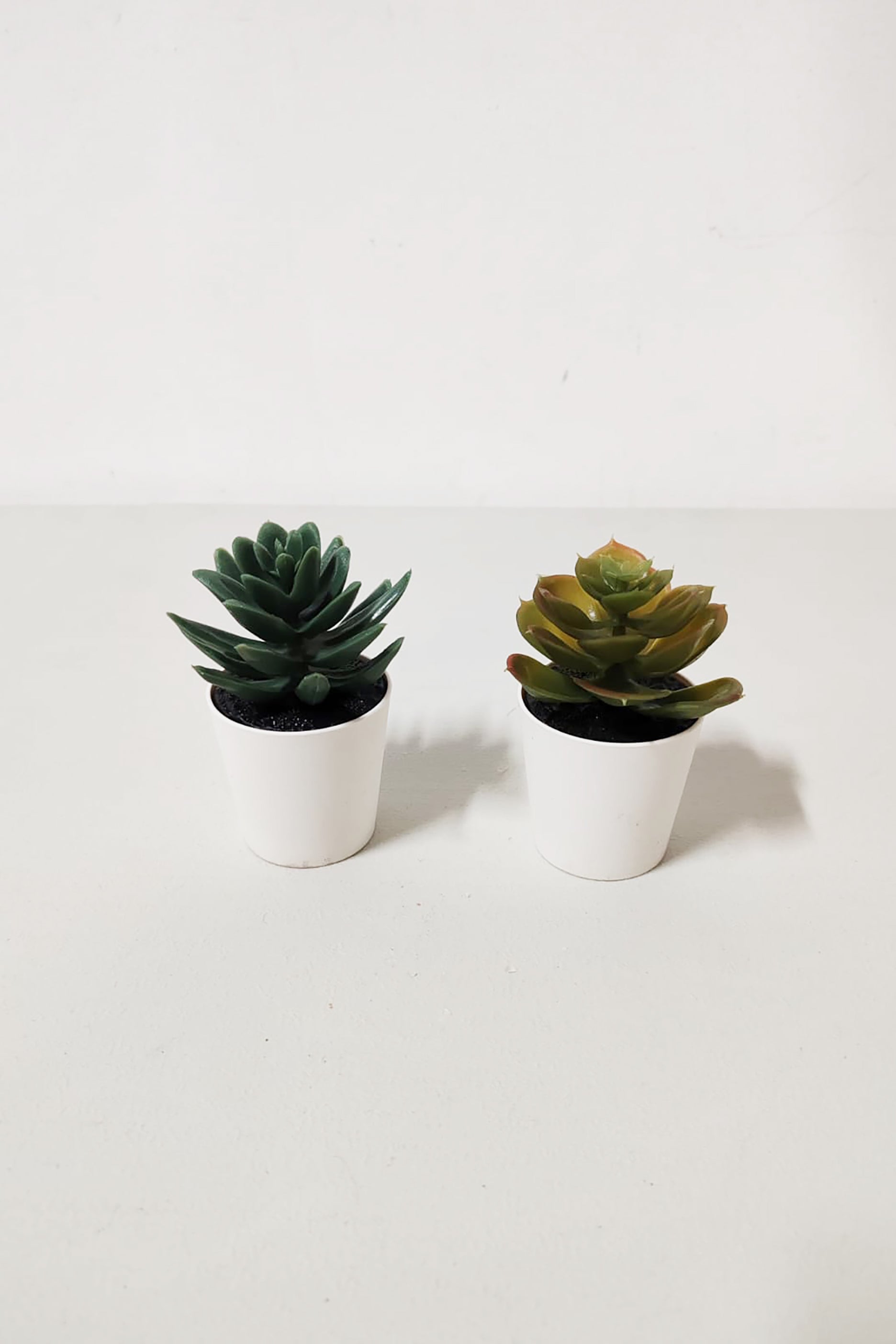 2-Piece Artificial Mini Plant