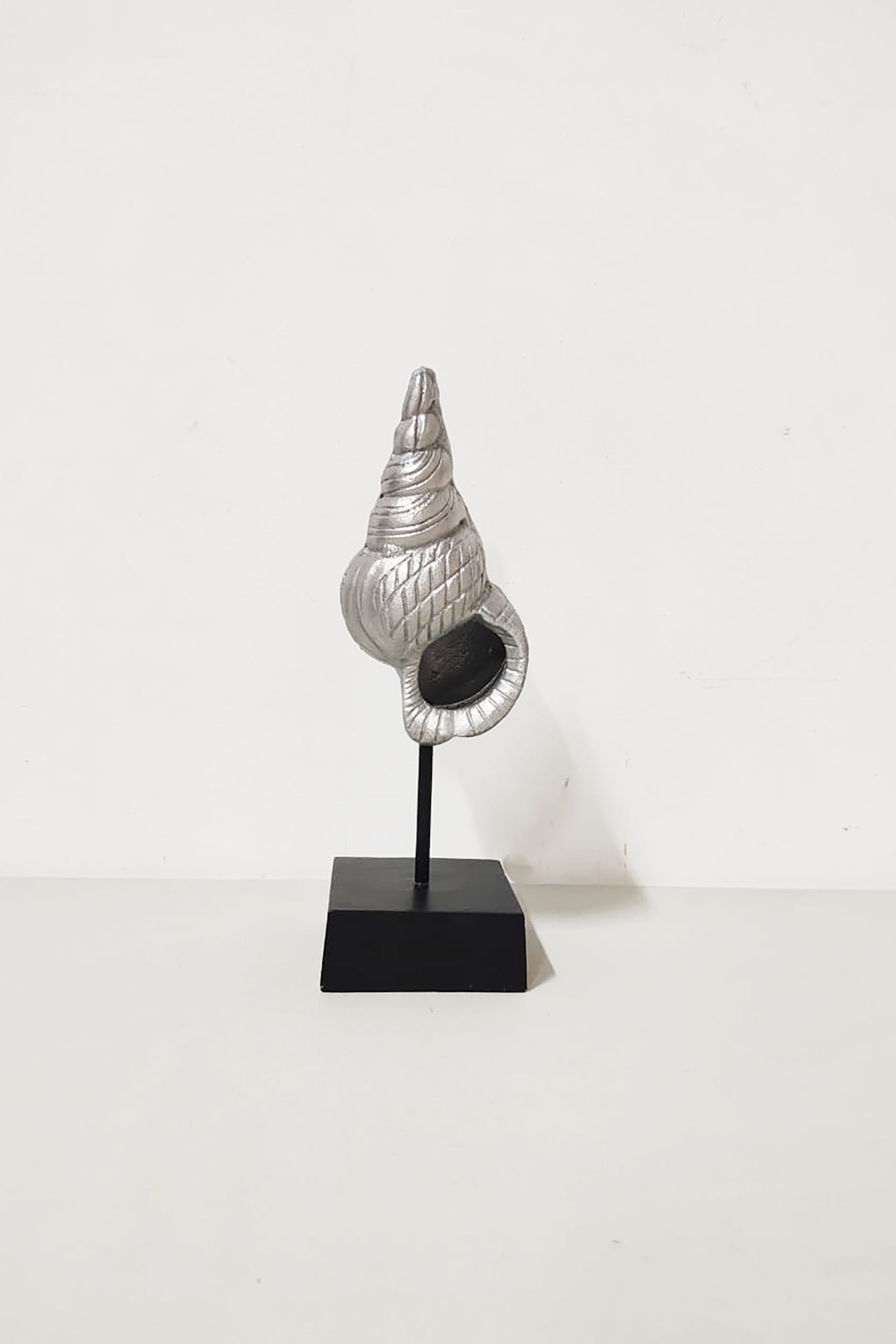 Decorative Sea Snail Display in Aluminum Stand