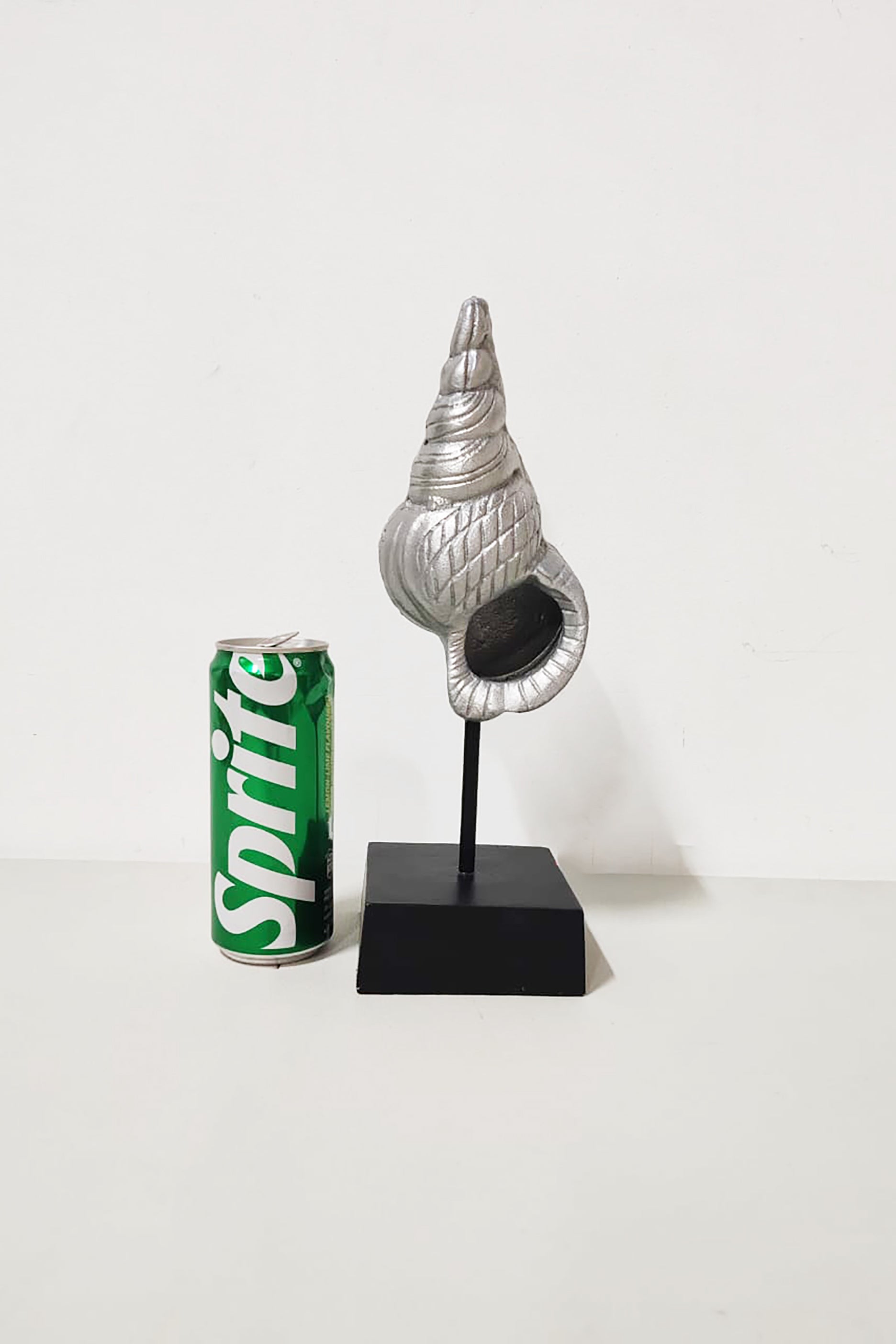 Decorative Sea Snail Display in Aluminum Stand