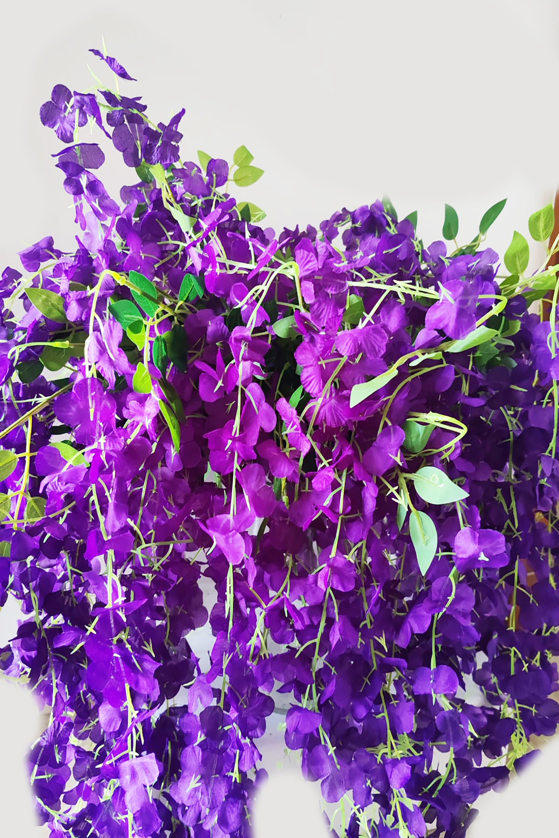 Purple Wisteria Hanging Flowers