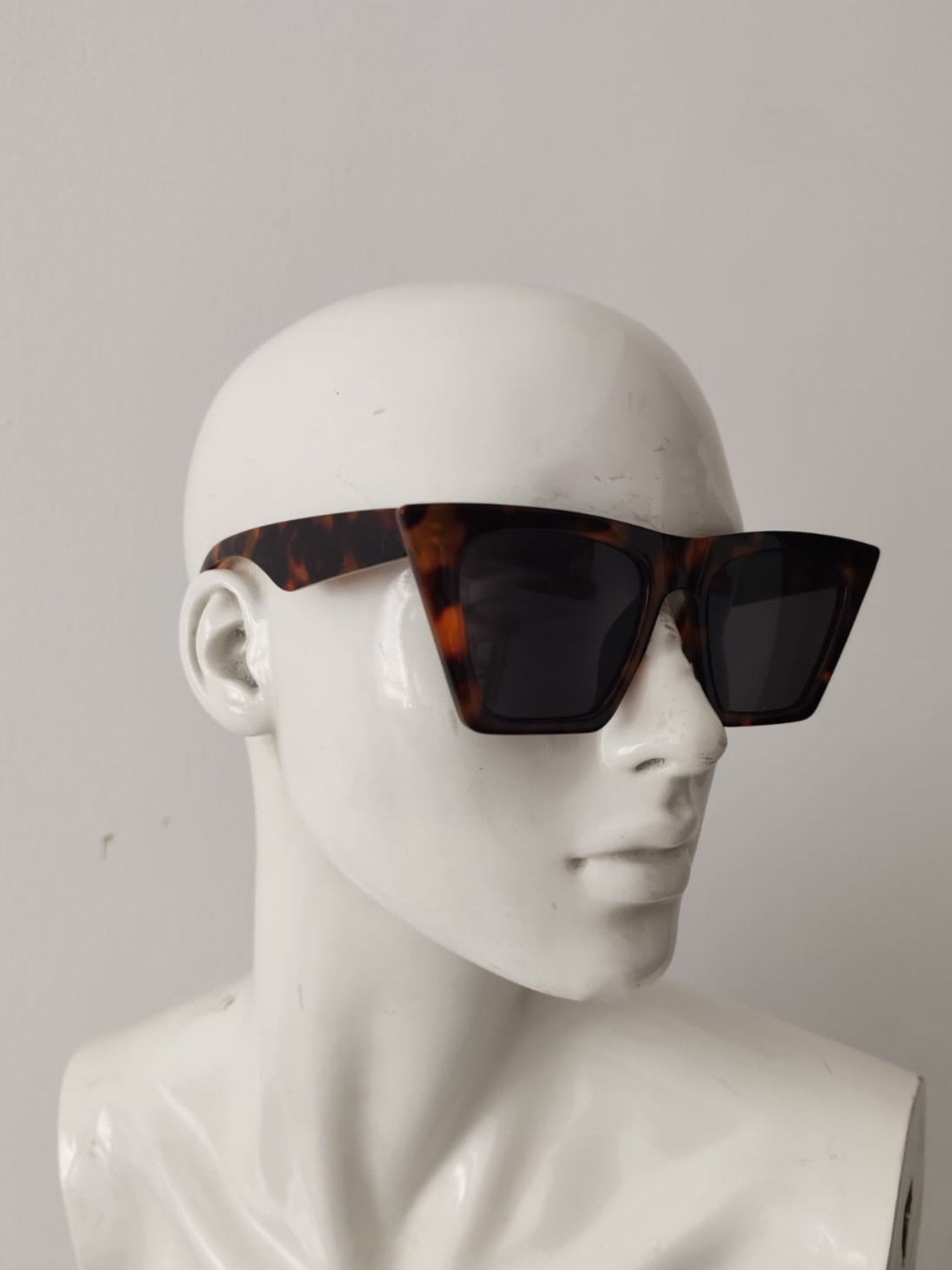 Oversized Cat Eye Tortoise Shell with Tinted Sunglasses