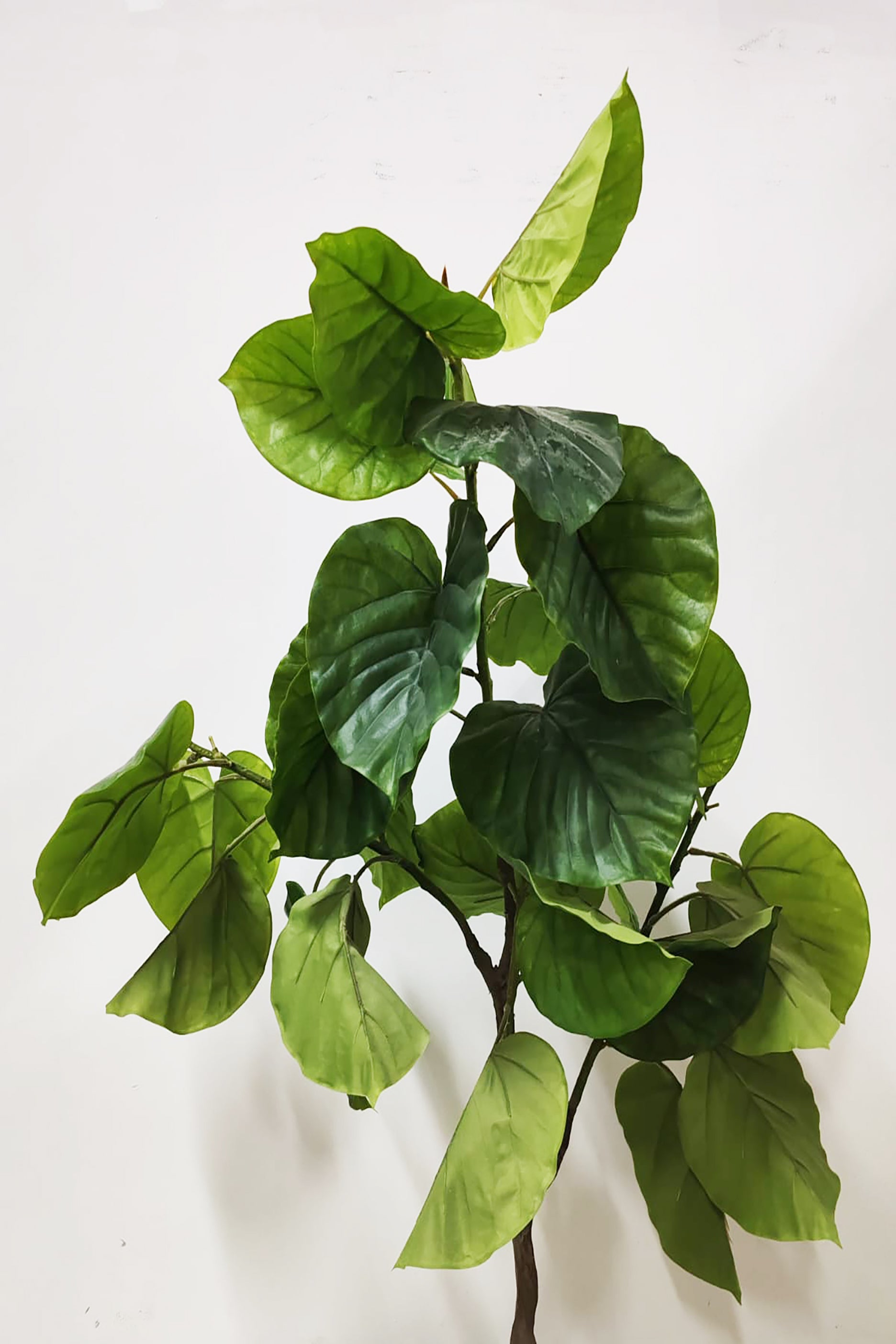 Artificial Ficus Tree