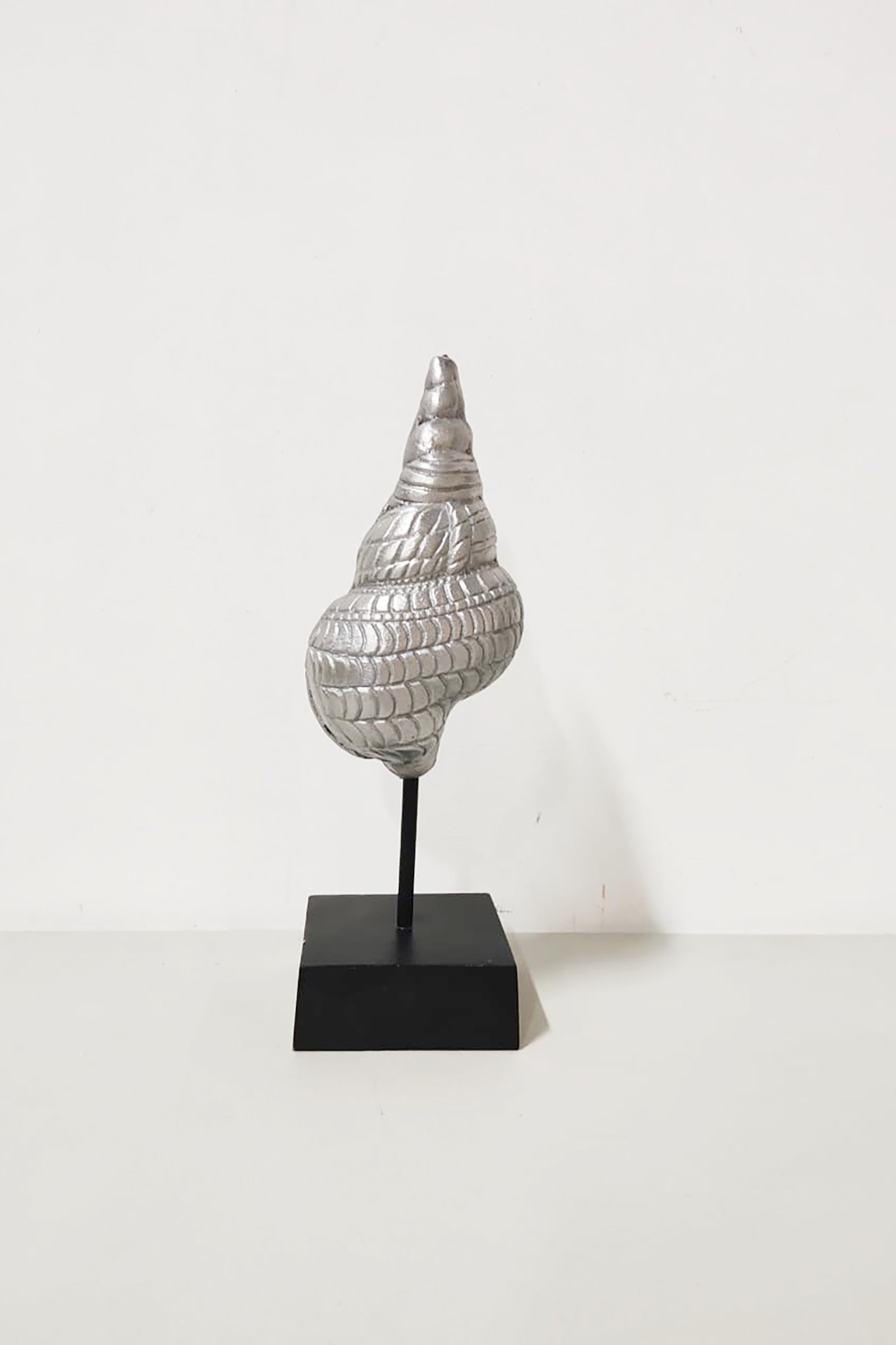 Decorative Sea Snail Display in Aluminum Stand