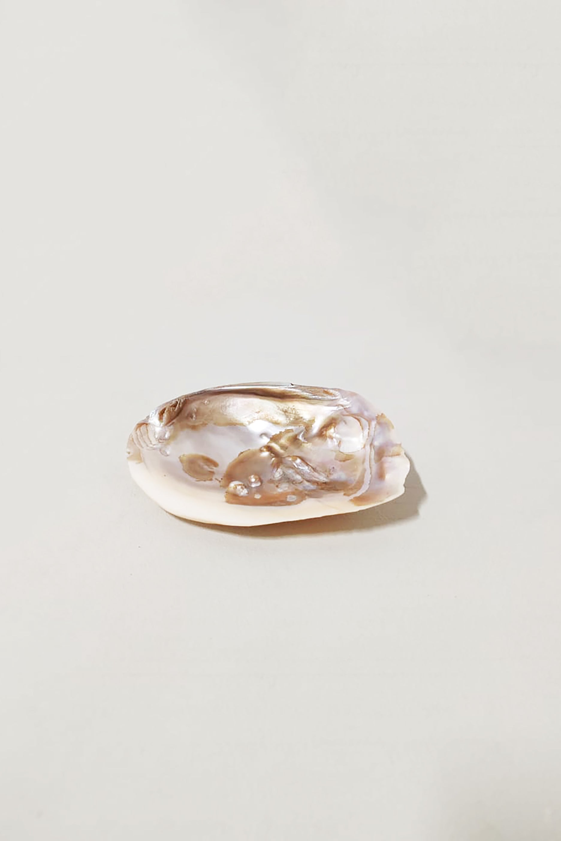 Pearl Shell Decorative