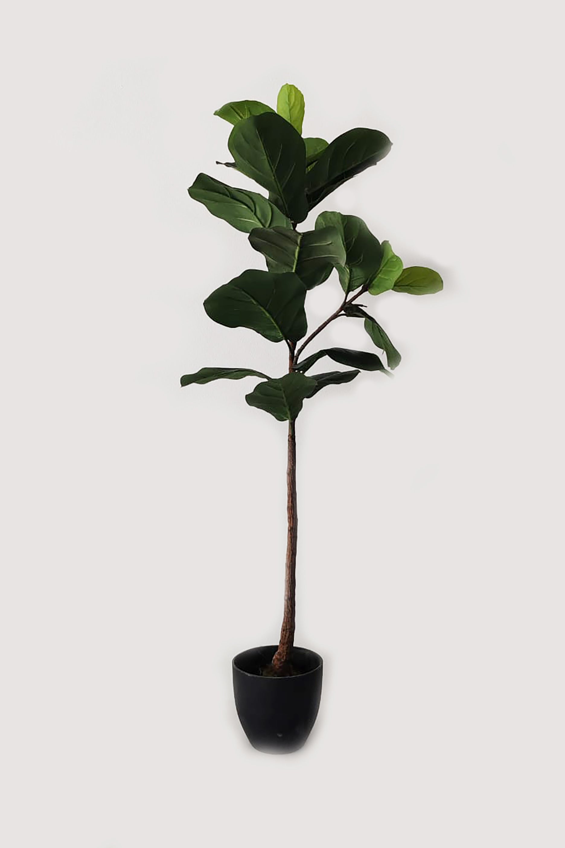 Medium Faux Fiddleleaf Plant (H-120cm)