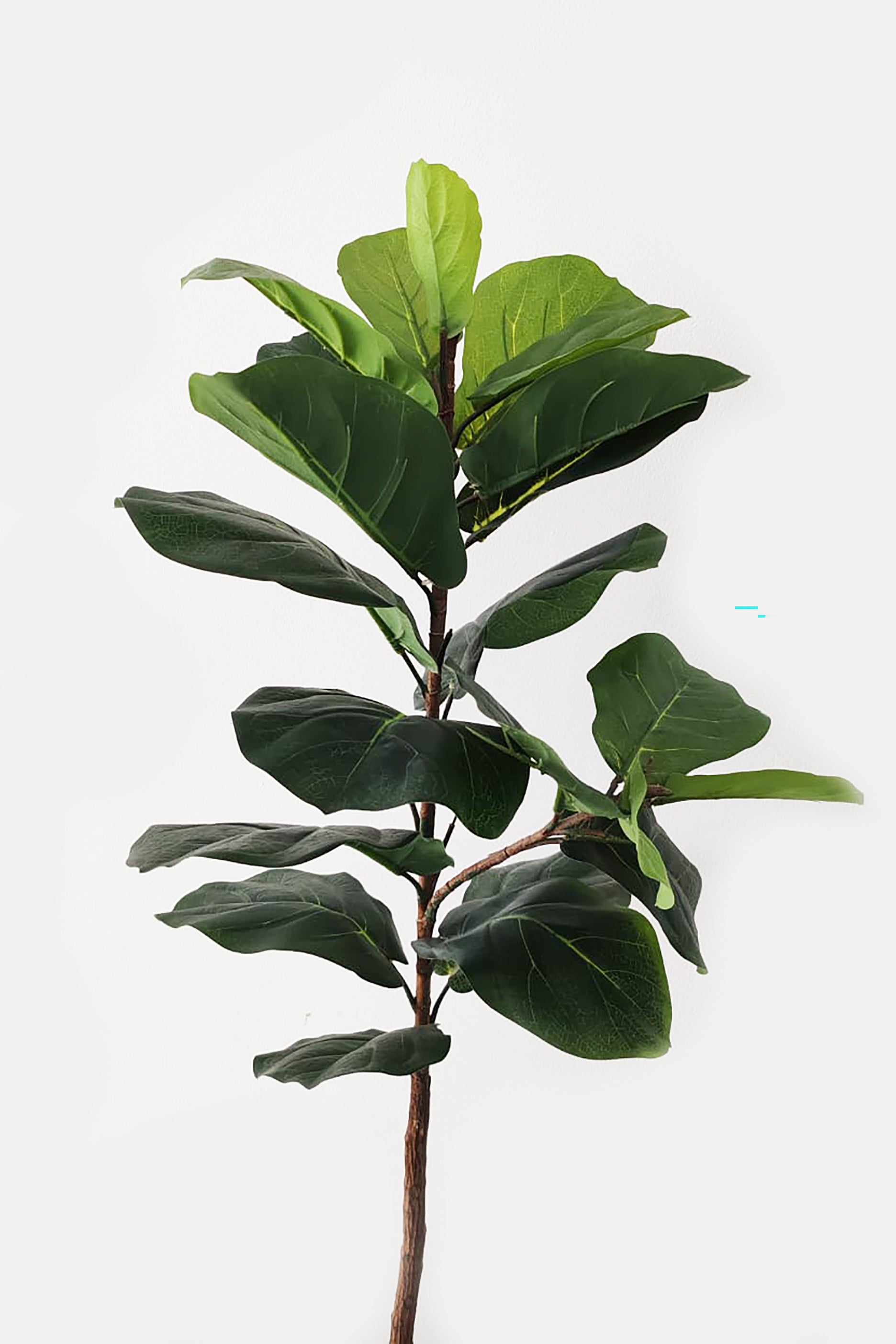 Medium Faux Fiddleleaf Plant (H-120cm)