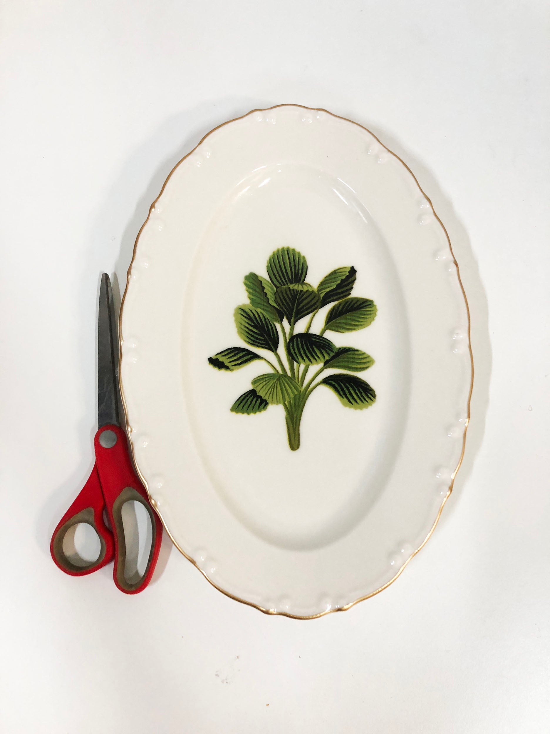 White China and Palm Leaf Dinner Set