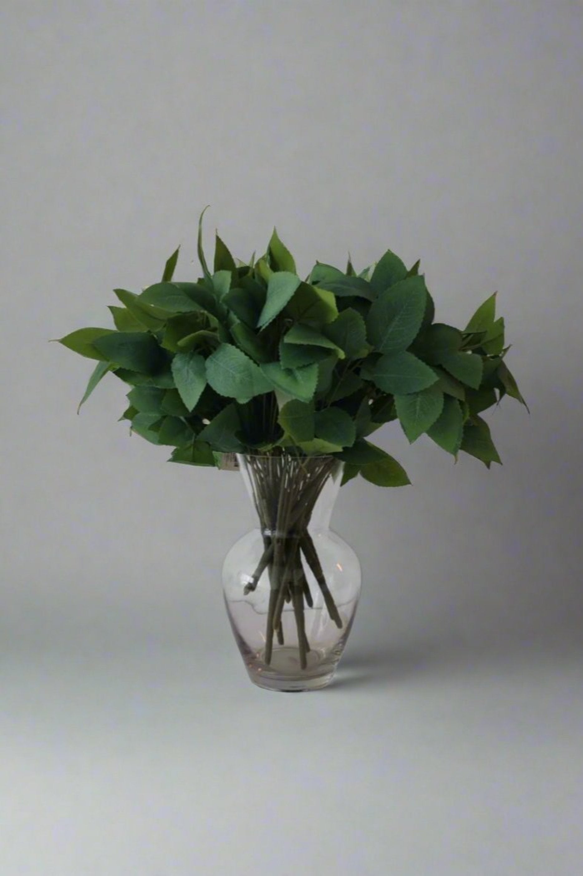 Artificial Green Leaves