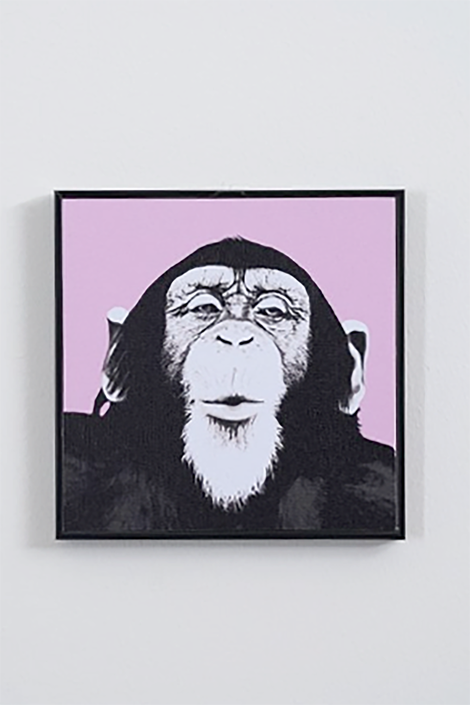 Chimp Artwork (20cm x 20cm)